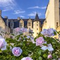 Fête des Roses au Château du Rivau (LéMERé, 37)
