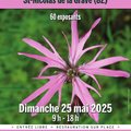 FOIRE AUX PLANTES RARES St-Nicolas-de-la-Grave (82) (SAINT-NICOLAS-DE-LA-GRAVE, 82)