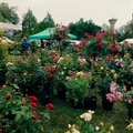 40 éme Floralies de GAREIN (40) (GAREIN, 40)