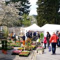 31e édition du Marché aux fleurs et à la décoration de jardin (RODEMACK, 57)