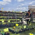 Festival des plantes nouvelles (SAINT NICOLAS D'ALIERMONT, 76)