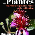 Printemps des Plantes (CASTANET-TOLOSAN, 31)