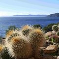 Formation : Un jardin sec en région méditerranéenne (RAYOL-CANADEL-SUR-MER, 83)