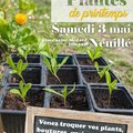 Troc plantes de printemps (NEUILLé, 49)