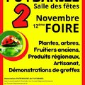 Foire aux plantes et artisanat local (PUYDANIEL, 31)