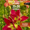 Fête des jardins au château de Pommorio (TREVENEUC, 22)