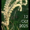 23ème Journée des Plantes Rares (ORDAN-LARROQUE, 32)