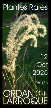 23ème Journée des Plantes Rares