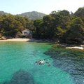 Sentier Sous-Marin du Domaine du Rayol – Été 2025 (RAYOL-CANADEL-SUR-MER, 83)