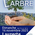 Journée de l’Arbre et du Bois à Lauzerte (LAUZERTE, 82)