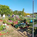 Marché aux plantes et végétaux (PLAISANCE-DU-TOUCH, 31)