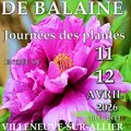 Journées des plantes (VILLENEUVE SUR ALLIER, 03)