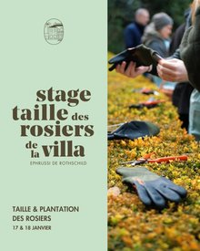 Stage Taille des Rosiers - Villa & Jardins Ephrussi de Rothschild