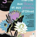 Marche aux fleurs et aux plantes (OLIVET, 45)