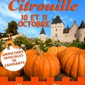 Fête de la Citrouille au Château du Rivau (37) (LéMERé, 37)
