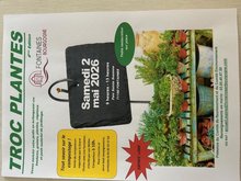 47eme troc plantes de fontaines