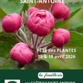 FETE DES PLANTES, rares et de collection (MOLENBAIX (CELLES), BE)