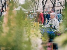 Marché aux plantes de Villeurbanne