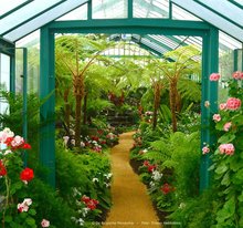 Les Serres royales de Laeken 
