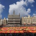 Le Tapis de fleurs de Bruxelles (BRUXELLES, BE)