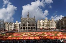 Le Tapis de fleurs de Bruxelles