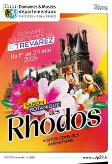 Saison botanique : rhododendrons