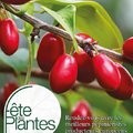 Fête des Plantes d'automne de Saint-Jean de Beauregard (SAINT-JEAN DE BEAUREGARD, 91)