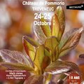 Fête des Jardins au château de Pommorio (TRéVENEUC, 22)