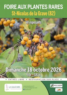 Foire aux plantes rares à Saint-Nicolas de la Grave (82)