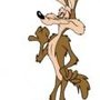 bigcoyote