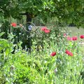 Le jardin d'Adoué (LAY-SAINT-CHRISTOPHE, 54)