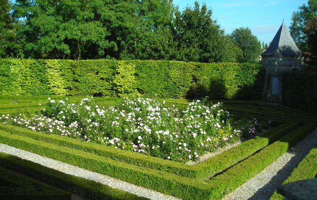 Les Jardins De La Muette