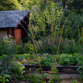 Jardins écologiques de Terre vivante (MENS, 38)