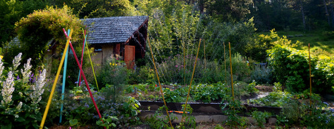 Jardins écologiques de Terre vivante