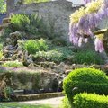 Le Jardin du Presbytère (CROMARY, 70)