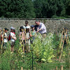 Jardins et Château de la Bourbansais