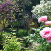 Le Jardin d'Eden 