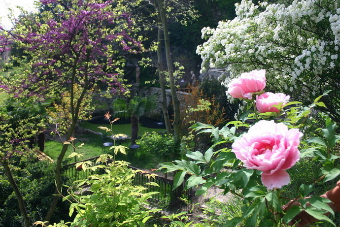 Le Jardin d'Eden 