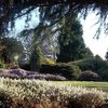 Jardin Botanique des Montagnes Noires
