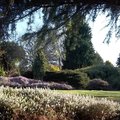 Jardin Botanique des Montagnes Noires (SPEZET, 29)