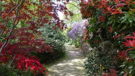 Parc de cornouaille