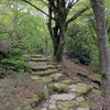 Les Jardins de Treuscoat