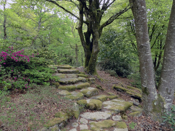 Les Jardins de Treuscoat