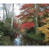 Arboretum des Prés des Culands - Conservatoire national d'Ilex