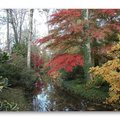 Arboretum des Prés des Culands - Conservatoire national d'Ilex (MEUNG SUR LOIRE, 45)