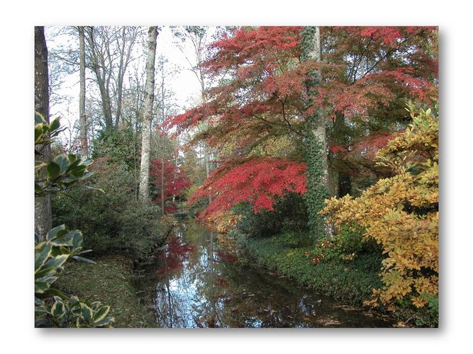 Arboretum des Prés des Culands - Conservatoire national d'Ilex