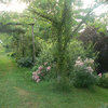 Le Jardin De La Marotte