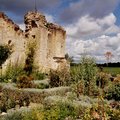 Jardin médiéval de plantes aromatiques et médicinales de la Commanderie de Sallebruneau (FRONTENAC, 33)