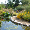 Les Jardins Aquatiques