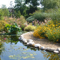 Les Jardins Aquatiques (SAINT DIDIER SUR CHALARONNE, 01)